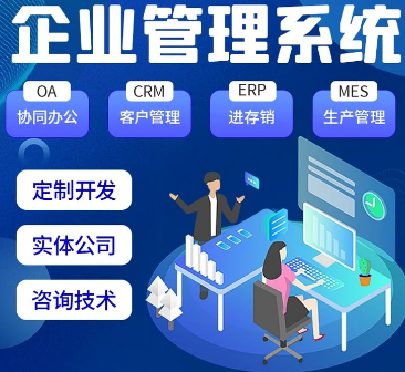 OA办公系统软件开发源码交付